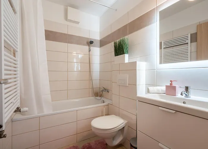 Need In Bp - Garage, Terraces, Aircon Budapest